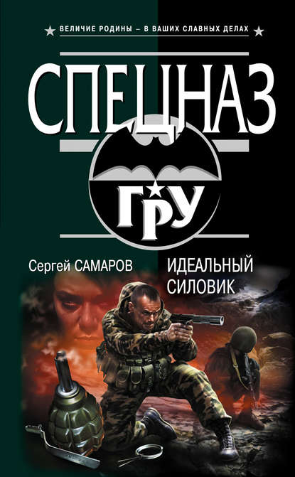 Идеальный силовик - Сергей Самаров