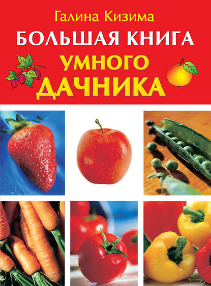 Большая книга умного дачника - Галина Кизима