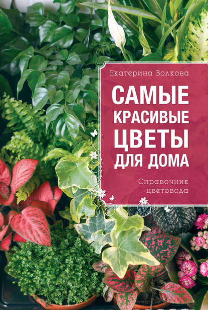 Самые красивые цветы для дома. Справочник цветовода — Екатерина Волкова