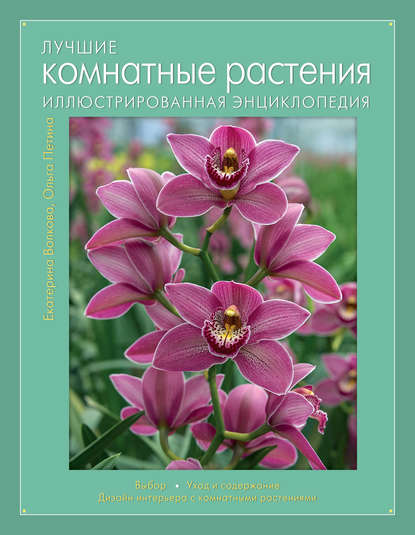 Лучшие комнатные растения. Иллюстрированная энциклопедия — Екатерина Волкова