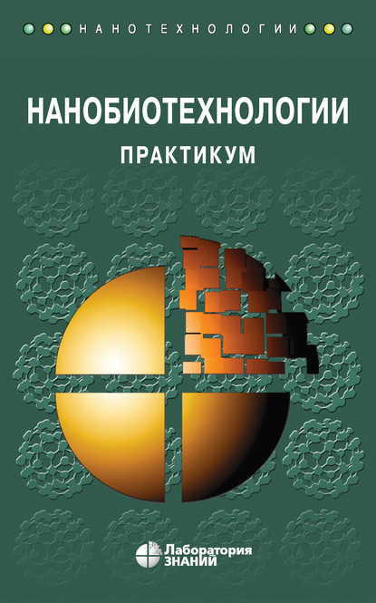 Нанобиотехнологии. Практикум - Андрей Борисович Рубин