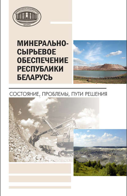 Минерально-сырьевое обеспечение Республики Беларусь. Состояние, проблемы, пути решения - П. Г. Никитенко