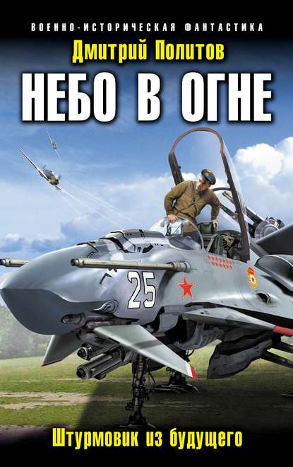 Небо в огне. Штурмовик из будущего - Дмитрий Политов