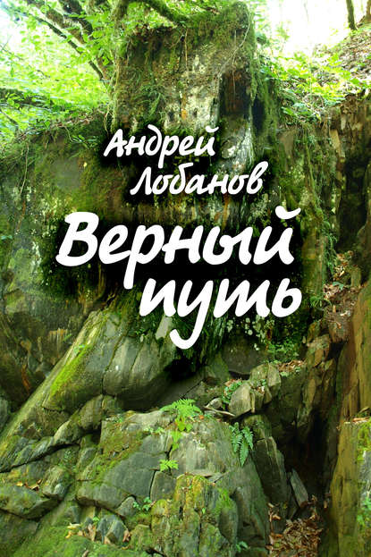 Верный путь - Андрей Лобанов