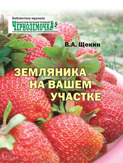 Земляника на вашем участке - В. А. Щекин