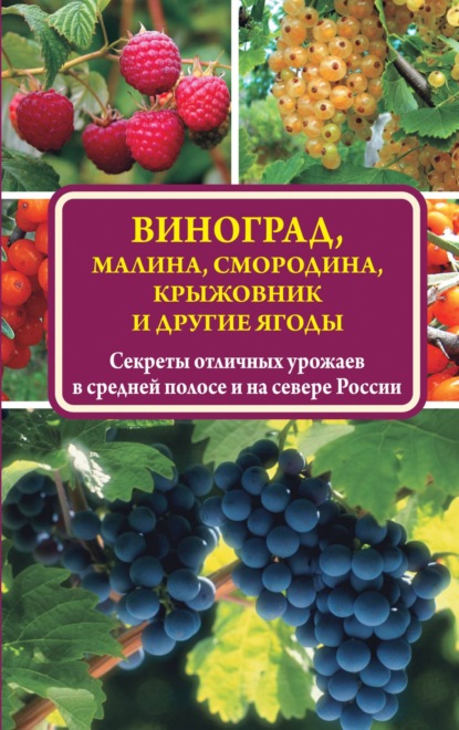 Виноград, малина, смородина, крыжовник и другие ягоды - Виктор Жвакин