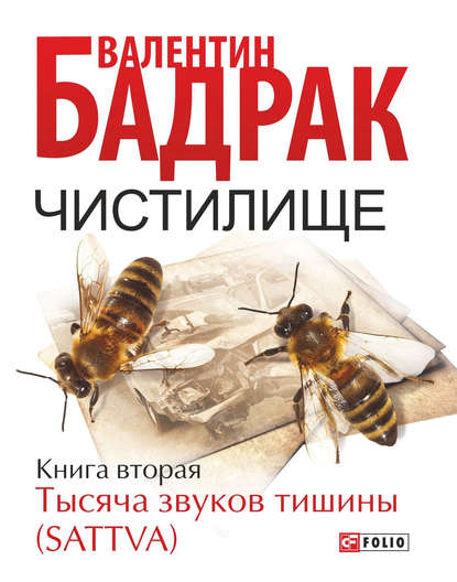 Чистилище. Книга 2. Тысяча звуков тишины (Sattva) — Валентин Бадрак