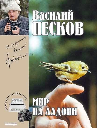 Полное собрание сочинений. Том 21. Мир на ладони - Василий Песков