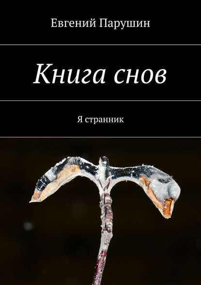 Книга снов - Евгений Парушин