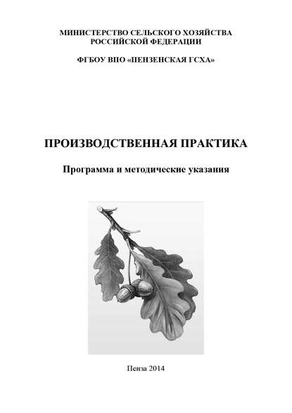 Производственная практика. Программа и методические указания - Коллектив авторов