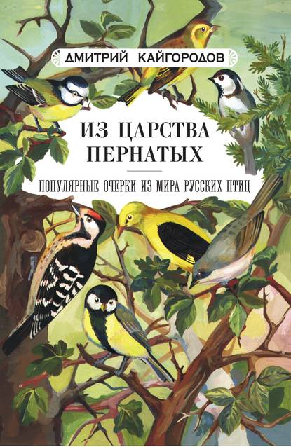 Из царства пернатых. Популярные очерки из мира русских птиц - Дмитрий Кайгородов