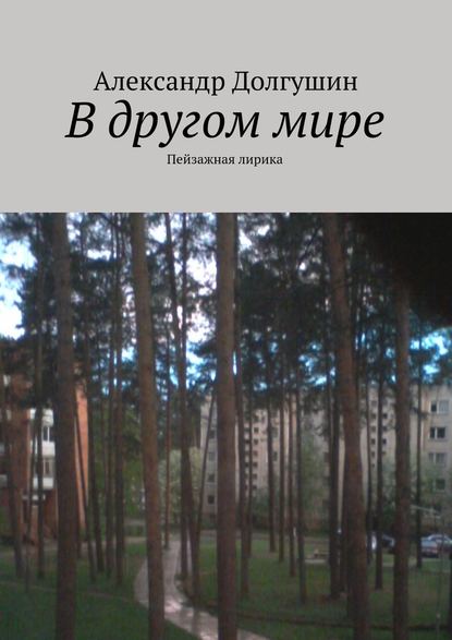 В другом мире - Александр Владиленович Долгушин