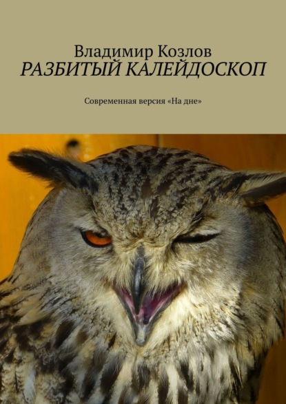 Разбитый калейдоскоп. Современная версия «На дне» - Владимир Козлов