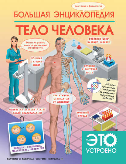 Большая энциклопедия. Тело человека - Д. В. Кошевар