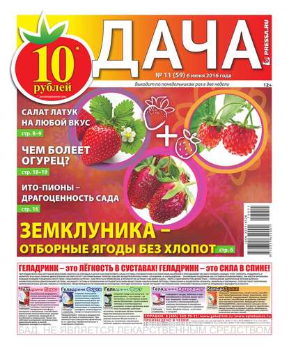 Дача Pressa.ru 11-2016 — Редакция газеты Дача Pressa.ru