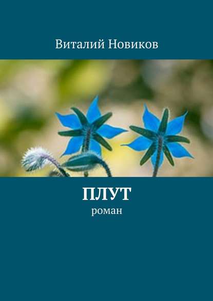 Плут. роман - Виталий Новиков