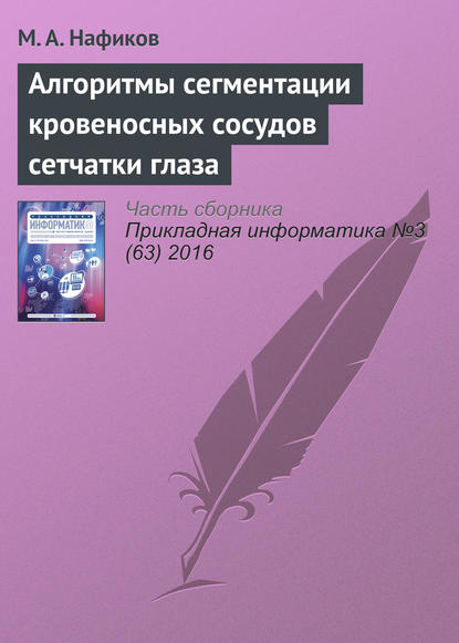 Алгоритмы сегментации кровеносных сосудов сетчатки глаза - М. А. Нафиков