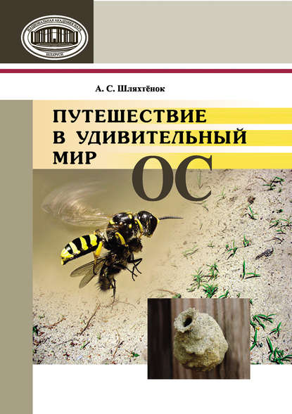 Путешествие в удивительный мир ос - А. С. Шляхтенок