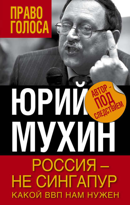 Россия – не Сингапур. Какой ВВП нам нужен — Юрий Мухин