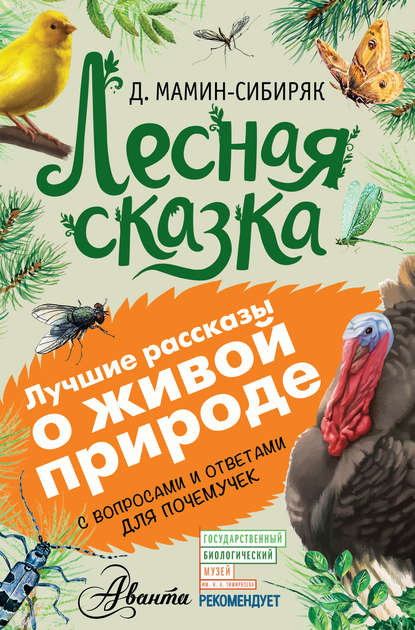 Лесная сказка. С вопросами и ответами для почемучек - Дмитрий Мамин-Сибиряк