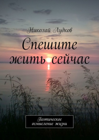 Спешите жить сейчас. Поэтическое осмысление жизни - Николай Анатольевич Лудков