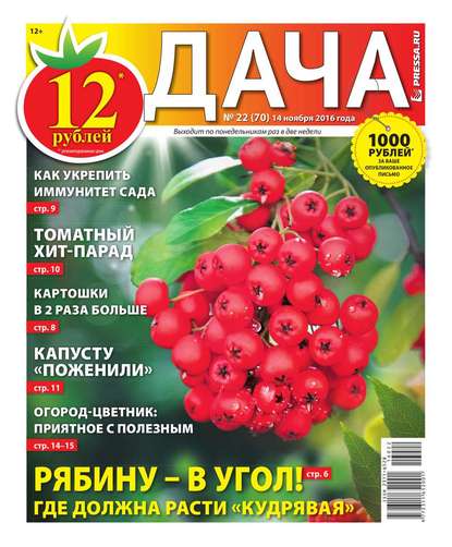 Дача Pressa.ru 22-2016 — Редакция газеты Дача Pressa.ru