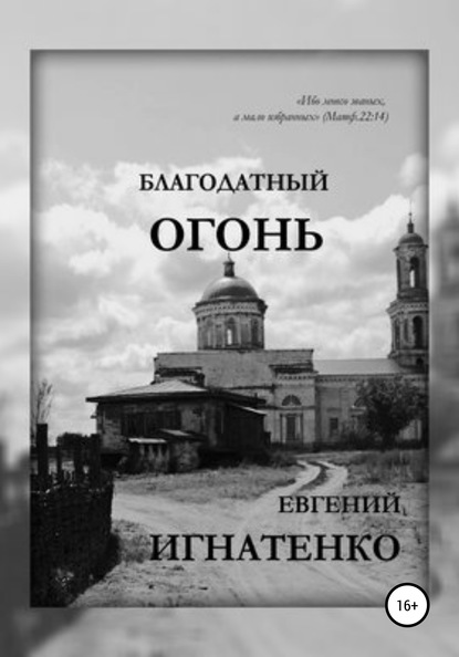 Благодатный огонь — Евгений Игнатенко