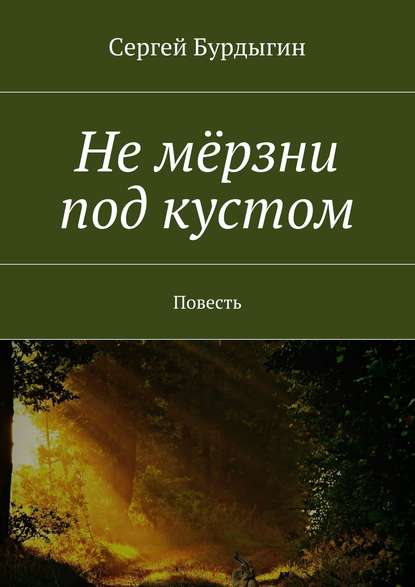 Не мёрзни под кустом. Повесть — Сергей Бурдыгин