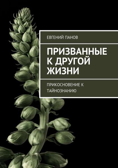 Призванные к другой жизни. Прикосновение к тайнознанию - Евгений Панов