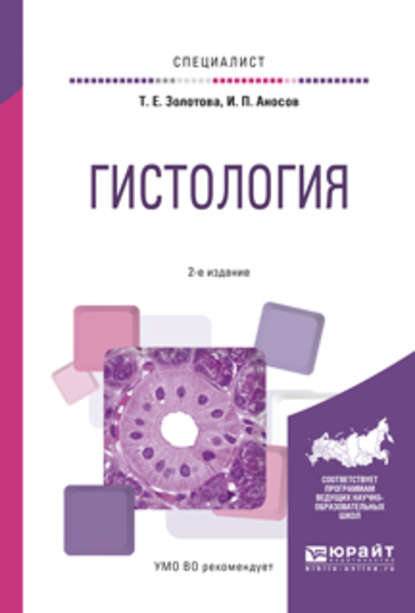 Гистология 2-е изд., испр. и доп. Учебное пособие для вузов — Татьяна Евгеньевна Золотова