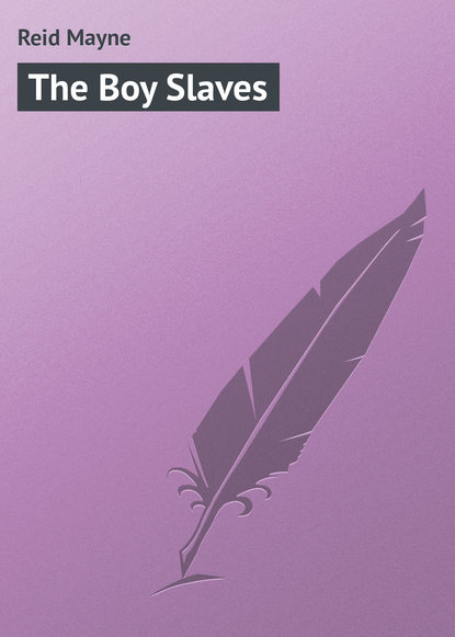 The Boy Slaves - Майн Рид