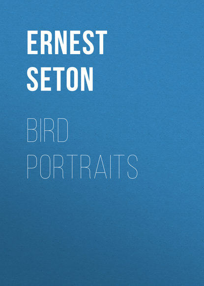 Bird Portraits - Эрнест Сетон-Томпсон