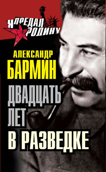 Двадцать лет в разведке - Александр Бармин