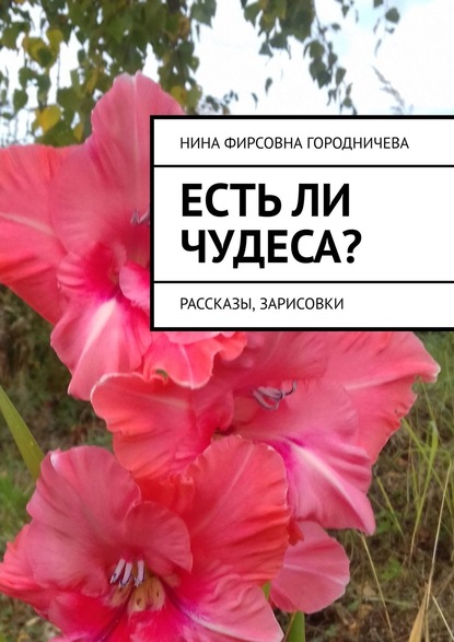 Есть ли чудеса? Рассказы, зарисовки - Нина Фирсовна Городничева