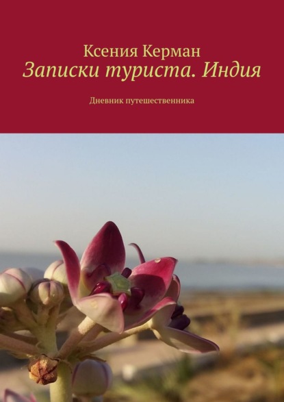 Записки туриста. Индия. Дневник путешественника - Оксана Анатольевна Васюнина