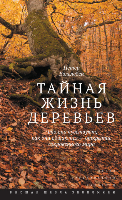 Тайная жизнь деревьев. Что они чувствуют, как они общаются – открытие сокровенного мира — Петер Вольлебен