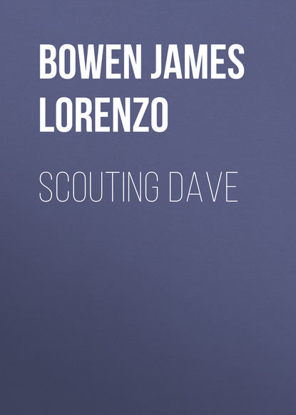 Scouting Dave - Джеймс Боуэн