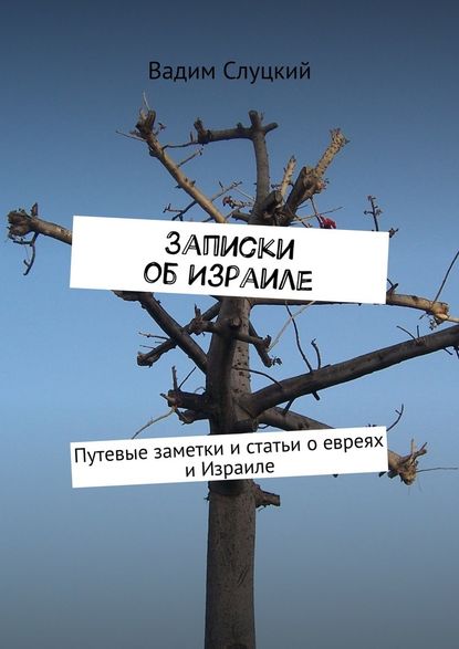 Записки об Израиле. Путевые заметки и статьи о евреях и Израиле — Вадим Слуцкий