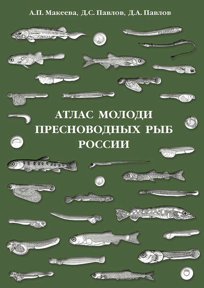 Атлас молоди пресноводных рыб России - Д. С. Павлов