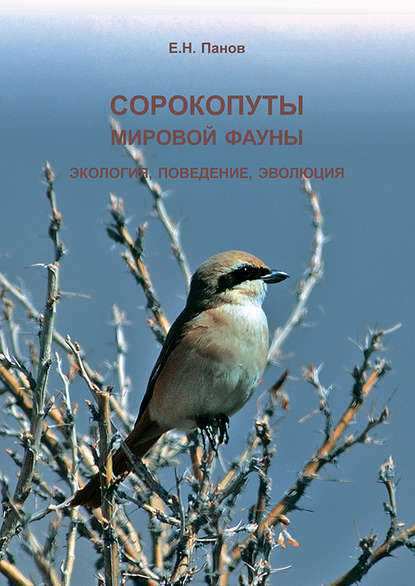 Сорокопуты (семейство Laniidae) мировой фауны. Экология, поведение, эволюция — Е. Н. Панов