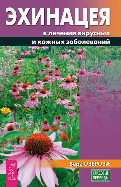 Эхинацея в лечении вирусных и кожных заболеваний — Вера Озерова