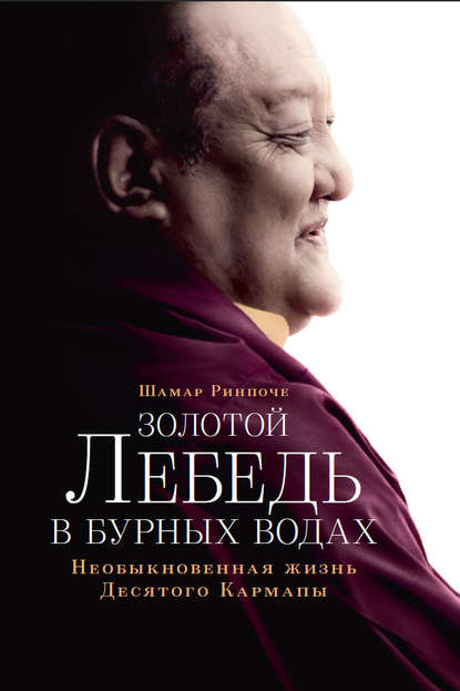 Золотой лебедь в бурных водах. Необыкновенная жизнь Десятого Кармапы - Шамар Ринпоче (Мипхам Чёкьи Лодрё)