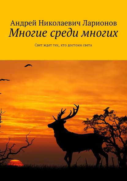 Многие среди многих. Свет ждет тех, кто достоин света - Андрей Николаевич Ларионов