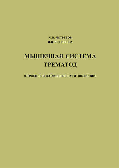 Мышечная система трематод (строение и возможные пути эволюции) - М. В. Ястребов