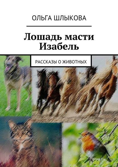 Лошадь масти Изабель. Рассказы о животных - Ольга Борисовна Шлыкова