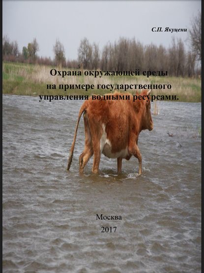 Охрана окружающей среды на примере государственного управления водными ресурсами - Сергей Павлович Якуцени