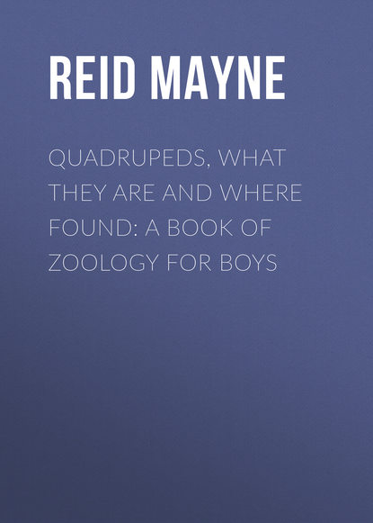 Quadrupeds, What They Are and Where Found: A Book of Zoology for Boys - Майн Рид