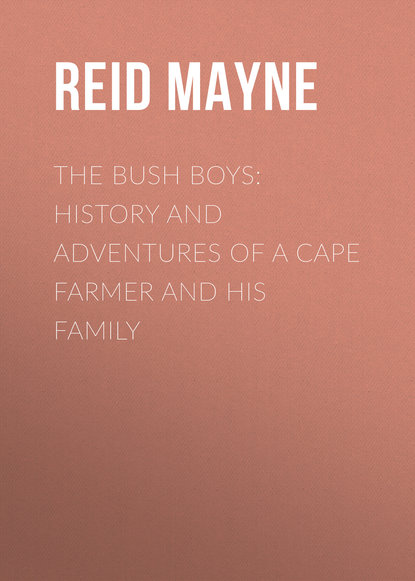 The Bush Boys: History and Adventures of a Cape Farmer and his Family - Майн Рид