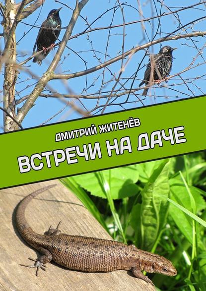 Встречи на даче - Дмитрий Житенёв