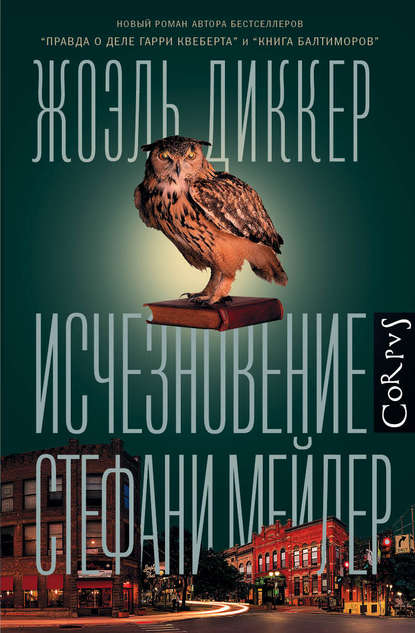 Исчезновение Стефани Мейлер - Жоэль Диккер